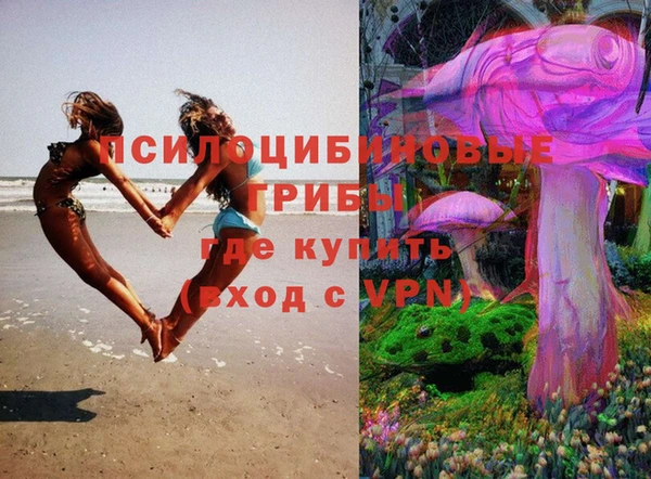 гашик Алзамай