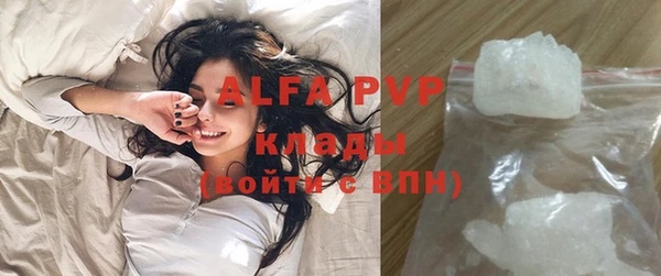 стафф Алексин