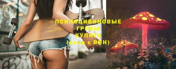 гашик Алзамай